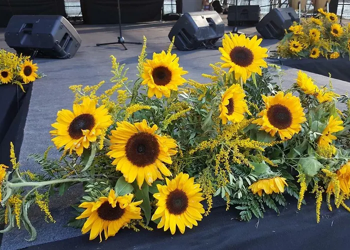 דירה Julija בלד